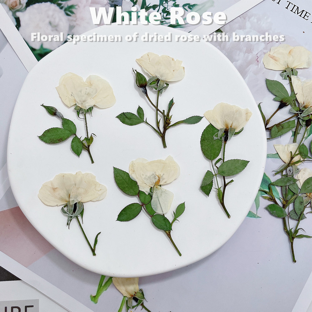 12個入り、ナチュラルホワイトピンクレッドローズの枝、本物の - Wedding Card Box のレビューと価格